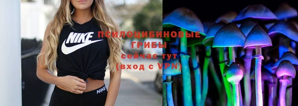 apvp Верея