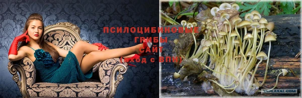 apvp Верея