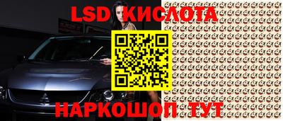 прущие крисы Бийск