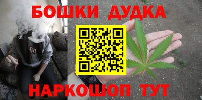 прущие крисы Бийск