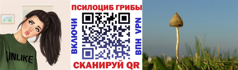 Галлюциногенные грибы прущие грибы  Вичуга 
