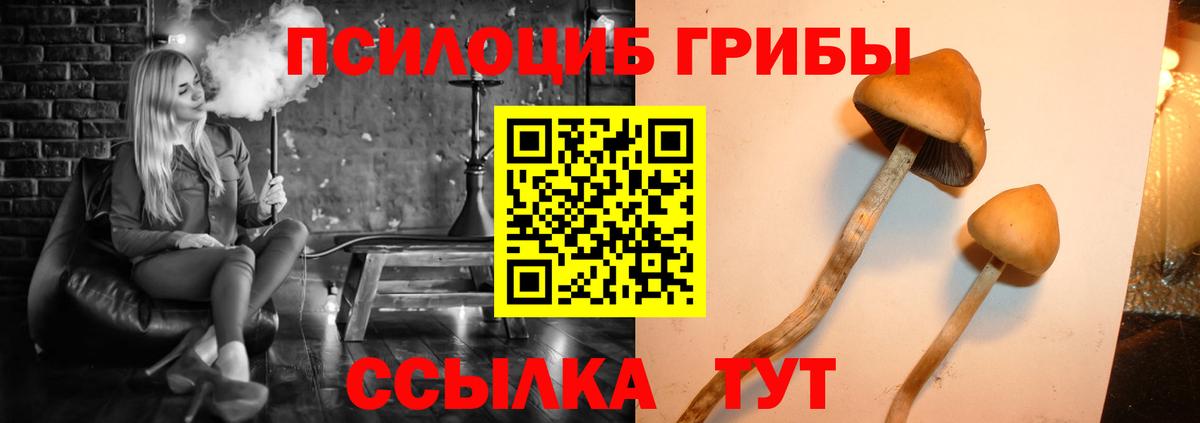 Вичуга  Псилоцибиновые грибы Cubensis  Галлюциногенные грибы GOLDEN TEACHER  Вход с VPN 